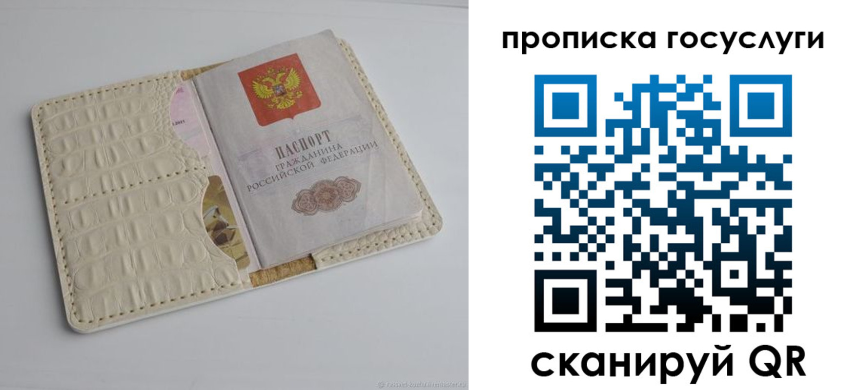 прописка в Стародубе
